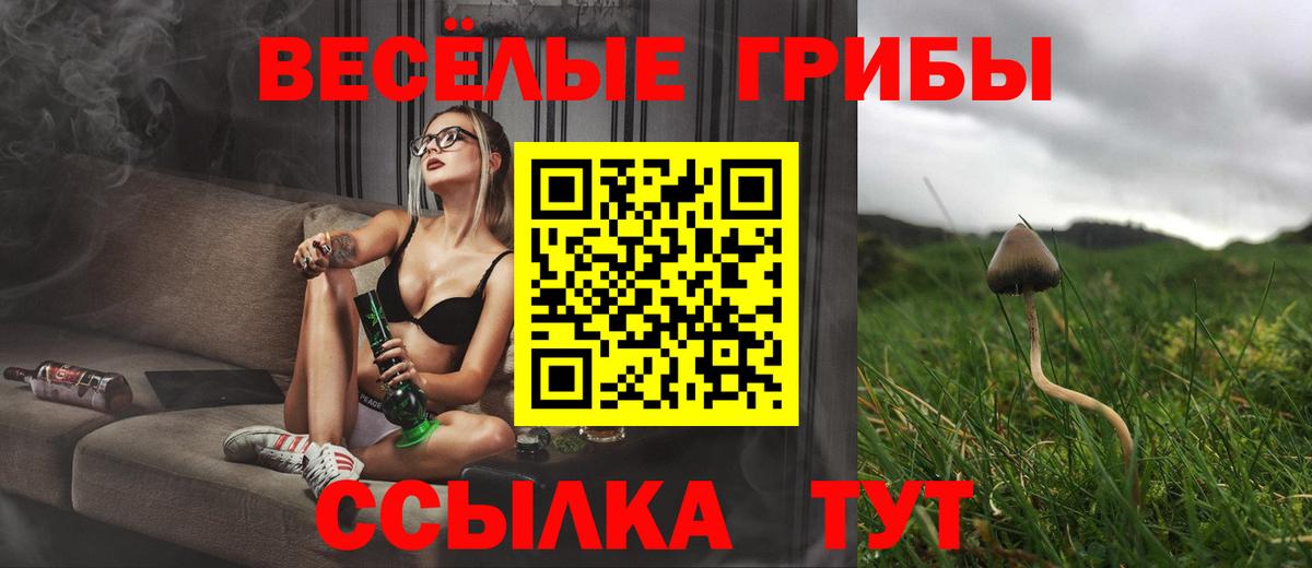 Галлюциногенные грибы ЛСД  Псилоцибиновые грибы мицелий  Саров  Вход с VPN 